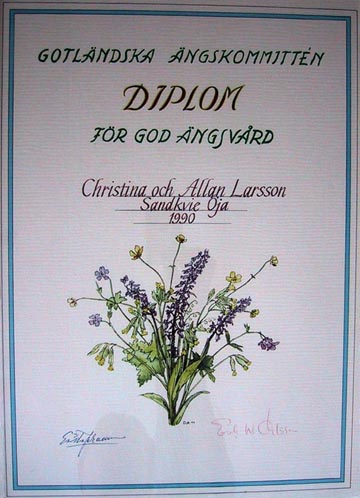 &Auml;ngs diplom