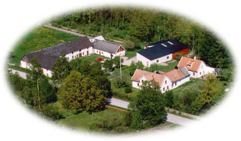 SANDKVIE G&Aring;RD - S&ouml;dra Gotland